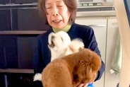 おばあちゃんを『熱烈大歓迎』する２匹の犬→おじいちゃんが帰ってくると…あからさま過ぎる『対応の差』が切ないと反響「笑った」「面白すぎる」