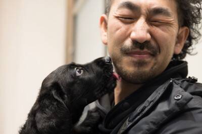 犬を『触ってはいけない瞬間』６選　タイミングを間違えると信頼関係が崩壊するかも…