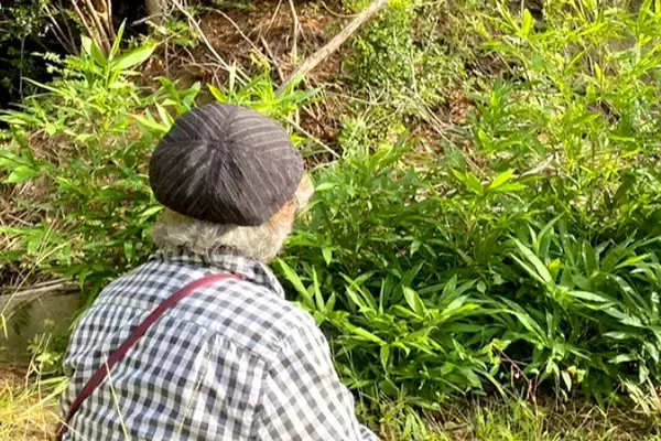 60日間、行方不明の犬→おばあちゃんが山に声をかけ続けた結果…まさかの『奇跡的な瞬間』が92万再生「泣いてしまった…」「よく頑張った」