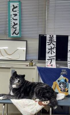 犬が手形を押して『結婚の保証犬』に！？おばあちゃんの入籍を祝う姿が幸せに溢れていると64万再生「なんて素敵なの」「大役だね」と絶賛