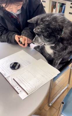 犬が手形を押して『結婚の保証犬』に！？おばあちゃんの入籍を祝う姿が幸せに溢れていると64万再生「なんて素敵なの」「大役だね」と絶賛