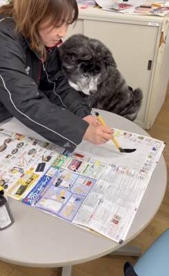 犬が手形を押して『結婚の保証犬』に！？おばあちゃんの入籍を祝う姿が幸せに溢れていると64万再生「なんて素敵なの」「大役だね」と絶賛