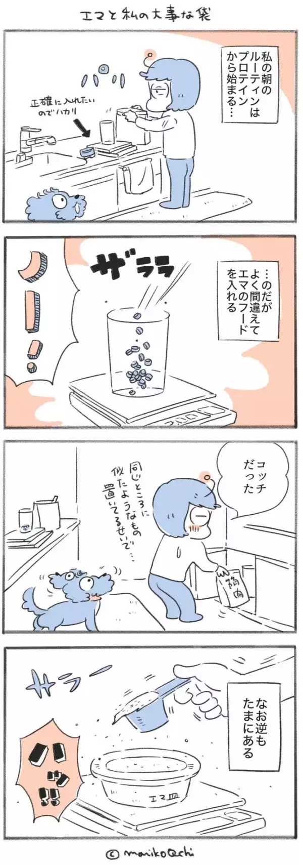 犬と暮らせば【第517話】「エマと私の大事な袋」