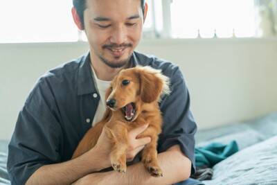 犬が『興奮している』ときにする仕草や行動4つ　大はしゃぎしてしまう理由とは？