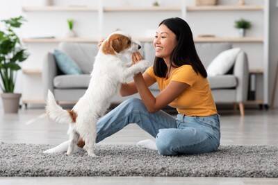 犬に『ダメ』を教えるときの間違ったしつけ4選　正しい叱り方とは？愛犬に伝わりやすい指示の出し方まで