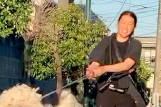 日本に2頭しか存在しないと言われる『超大型のモップ犬』→思わず二度見する『大迫力の散歩』が171万再生「図鑑でしか見たことない」「触りたい」