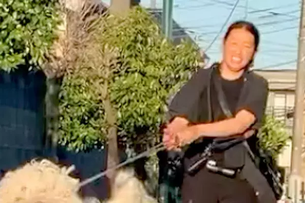 日本に2頭しか存在しないと言われる『超大型のモップ犬』→思わず二度見する『大迫力の散歩』が171万再生「図鑑でしか見たことない」「触りたい」