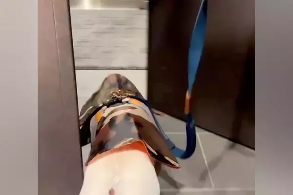 散歩前、ご機嫌な犬→玄関を出た瞬間『雪』が積もっていて…気付いた瞬間の『絶望』が11万再生「真顔やめｗｗｗ」「きれいに滑ってて草」