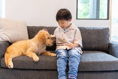犬にも『人の好き嫌い』があるって本当？何で判断しているの？好かれるために意識すべきことまで