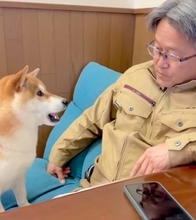 犬とお父さんを撮影したら…まさかの『会話が成り立っている光景』がコントのようだと45万再生「もしや人間ですか？」「犬語かわいい」