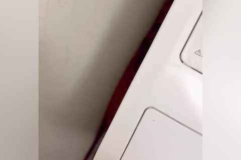 散歩嫌いな犬に『お散歩行きませんか？』とお誘い→洗濯機の横に隠れてしまい…まさかの『シンデレラフィット』が80万再生「食パンみたいｗｗ」