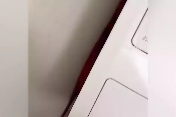 散歩嫌いな犬に『お散歩行きませんか？』とお誘い→洗濯機の横に隠れてしまい…まさかの『シンデレラフィット』が80万再生「食パンみたいｗｗ」