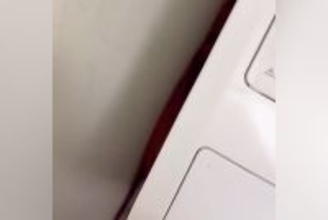 散歩嫌いな犬に『お散歩行きませんか？』とお誘い→洗濯機の横に隠れてしまい…まさかの『シンデレラフィット』が80万再生「食パンみたいｗｗ」