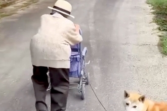 カートを押す『100歳のおばあちゃん』→犬が隣で、歩くスピードを合わせて…とんでもなく尊い光景が39万再生「感動しました」「微笑ましい」