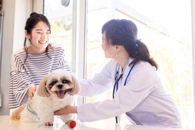 犬の『くしゃみ』放っておいて大丈夫？放置してはいけない危険なサインとは