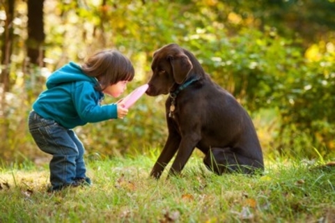 犬が「子どもの免疫」を育てるってホント？喘息リスクとの関係まで解説【獣医師執筆】