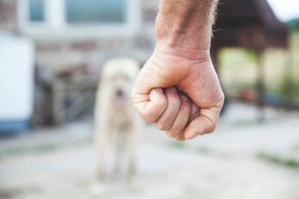 現代では考えられない『犬のしつけ』4つ　昔は当たり前だったありえない対応とは？