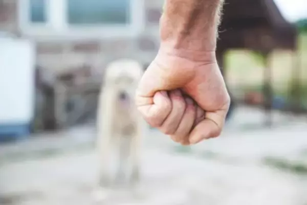 現代では考えられない『犬のしつけ』4つ　昔は当たり前だったありえない対応とは？