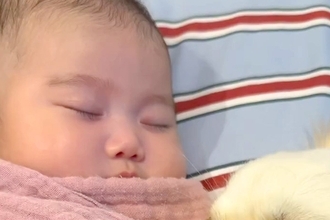 ぐっすりと眠る赤ちゃん→どうしても傍で寄り添いたい犬が…あまりにも愛おしい光景が16万再生「尊すぎて涙出た」「ふたりのほっぺたまらん」