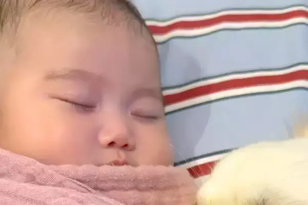 ぐっすりと眠る赤ちゃん→どうしても傍で寄り添いたい犬が…あまりにも愛おしい光景が16万再生「尊すぎて涙出た」「ふたりのほっぺたまらん」