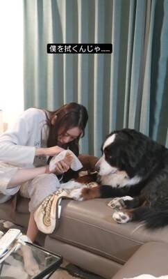 『酔っ払った娘』が犬にコントを仕掛けた結果…まさかの"アニメ過ぎる反応"が2300万再生「え？って顔たまらんｗ」と爆笑の嵐