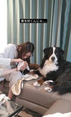 『酔っ払った娘』が犬にコントを仕掛けた結果…まさかの"アニメ過ぎる反応"が2300万再生「え？って顔たまらんｗ」と爆笑の嵐