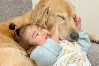 大型犬のことが大好きで仕方ない1歳の女の子→抑えられない気持ちを伝える光景が『尊すぎる』と24万再生「なんか感動した」「微笑ましすぎ」