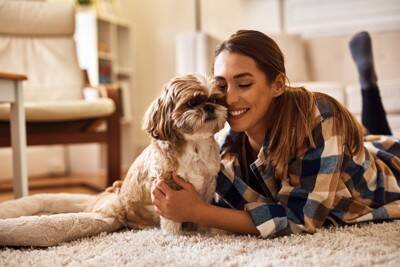 『大切に育てられている犬』の共通点4選　愛犬に伝わりやすい愛情の与え方まで解説