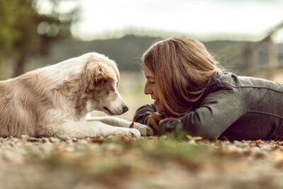 犬を『世界で一番幸せにする』方法4選　愛犬の幸福度を高めるために必ず知っておくべきこととは？