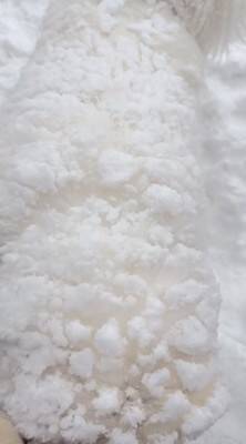 『いぬ…じゃない！？』庭に雪が積もったので、超大型犬が外に出た結果…まさかの『羊のようになる光景』が26万再生「同化してて草」と絶賛