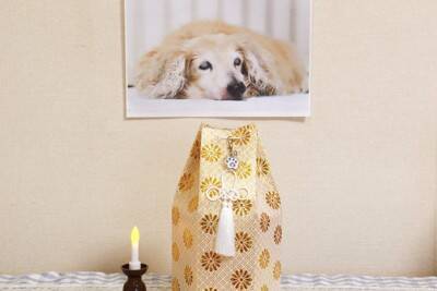 犬のお葬式で必要な準備5つ　事前に知っておくべき流れやいざという時のための心得まで