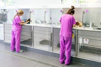 犬と関わることができる職業23選　犬好きが一度は憧れる仕事とは？必要な資格まで解説