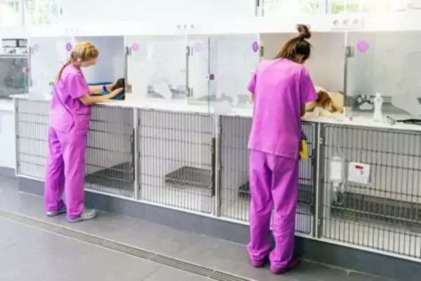 犬と関わることができる職業23選　犬好きが一度は憧れる仕事とは？必要な資格まで解説