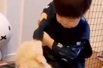 男の子と遊ぶ『小さな子犬』→2年後の『完全に立場が逆転した光景』が30万再生「こんなにデカくなるのｗ」「大型犬の良さ」と絶賛の声