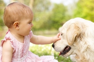 『優しい性格の犬種』ランキングTOP5　おとなしいワンコの特徴や温厚に育てるコツまで