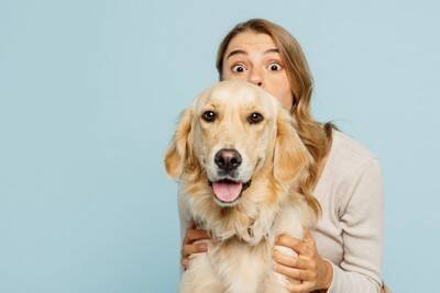 犬を不快にさせる『スキンシップ』５選　知らぬ間に苦痛を与えている可能性も…