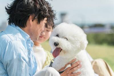 犬を不快にさせる『スキンシップ』５選　知らぬ間に苦痛を与えている可能性も…