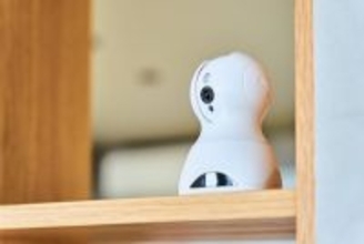 犬との暮らしであるといい『便利グッズ』3つ　QOLを上げるオススメ用品とは？