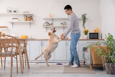 犬に絶対NGな『生モノ』5選　食べてしまうと命に関わる食材や誤食した場合の応急処置まで
