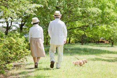 犬から人に感染する『病気』とは？絶対に知っておくべき人獣共通感染症の対策まで