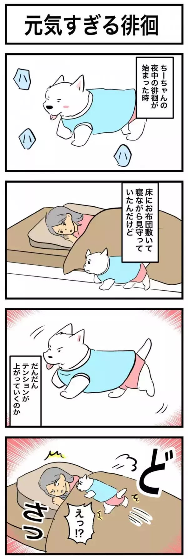 ちーちゃんですけどもっ【第361話】「元気すぎる徘徊」