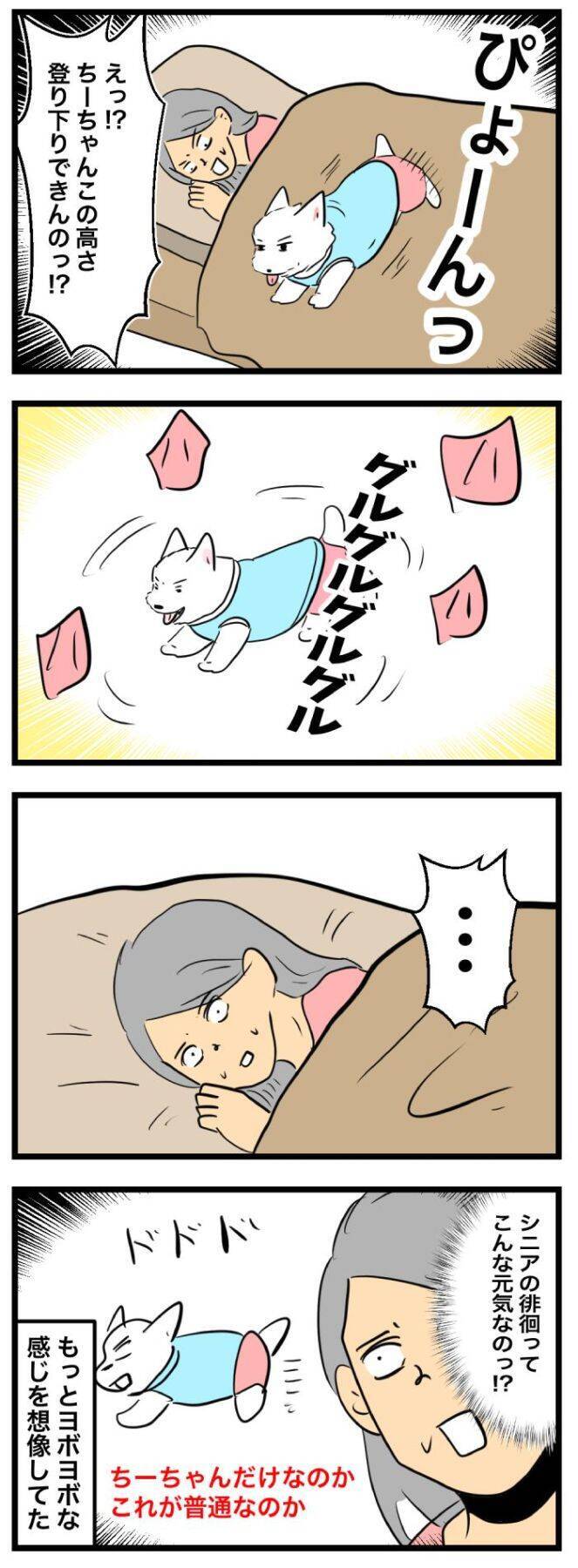 ちーちゃんですけどもっ【第361話】「元気すぎる徘徊」