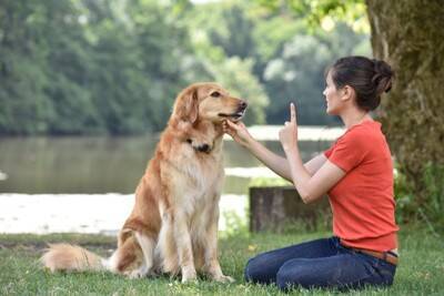 犬が吠えるようになってしまう飼い主の『絶対NG行為』5選　今すぐ改善すべき間違ったしつけとは？