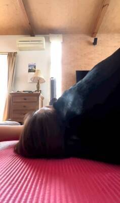 家で運動をしていたら…『おい！どうした！？』まさかの心配性すぎる大型犬の姿が490万再生「ある意味スパルタで草」「可愛すぎるｗ」と絶賛