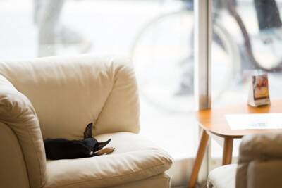 犬が『イライラしている』ときにみせるサイン7選　不満が溜まってしまう原因や対処法まで