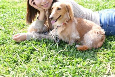 犬が『楽しんでいる』ときにみせるサイン５選　見逃したくない行動や日常を充実させる方法まで