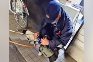 散歩帰りに『大好きなお巡りさん』を発見した犬→交番で見せた『パトロールのご報告』が可愛すぎると11万再生「平和な世界」「なんて素敵なの」