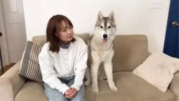 犬の前で『パパママ同時に違う方向に走ったら』どっちに付いてくる？…予想外の検証結果が68万8000再生「面白い検証」「終始かわいすぎる」