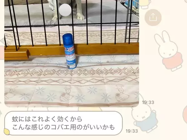 母に『実家で使っているもの教えて』とLINEした結果→なぜか必ず『犬』が…可愛すぎる共有の仕方に5万いいね「ピント犬に合ってるｗ」と反響