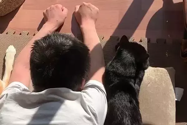 窓際で『猫の真似』をしていたパパ→犬にも『おいで』と声をかけた結果…あまりにも尊い光景が79万再生「可愛すぎる3匹ｗ」「ニヤニヤ止まらん」